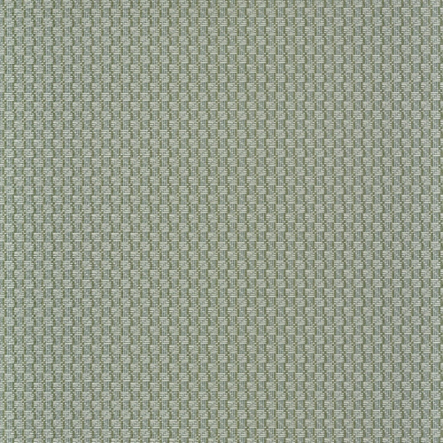 Papel pintado estilo dibujo pequeño de trenzas en color verde Trenza 74670354