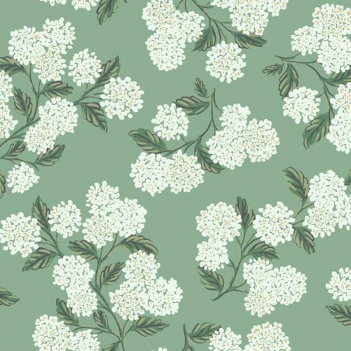 Papel pintado estilo flores en blanco sobre fondo color verde Hydrangea RI5145