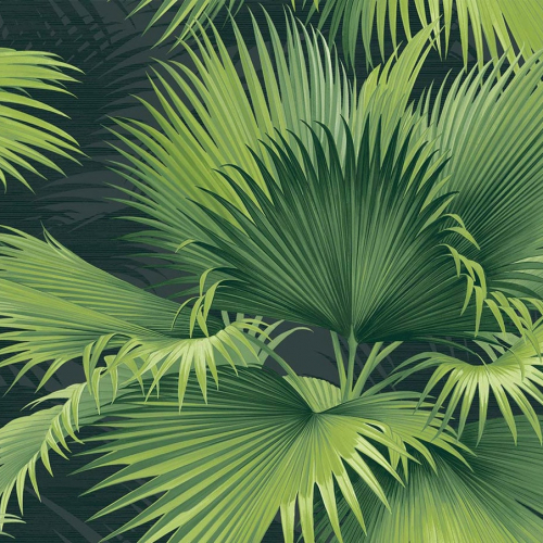 Papel pintado estilo tropical en tonos de color verde Summer Palm PC40104