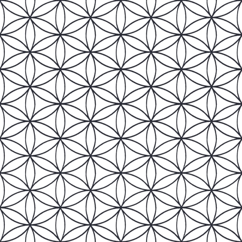Papel pintado geométrico en color blanco y negro Amazzonia 22051