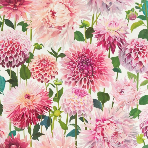 Papel pintado de flores en color rosa Dahlia HQN2112843