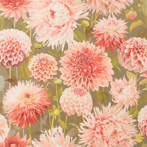 Papel pintado de flores en color naranja Dahlia HQN2112845