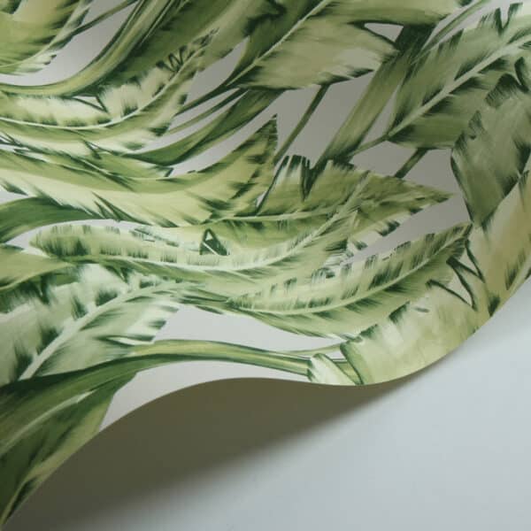 Papel pintado tropical en color verde Tiger Leaf W7333-02