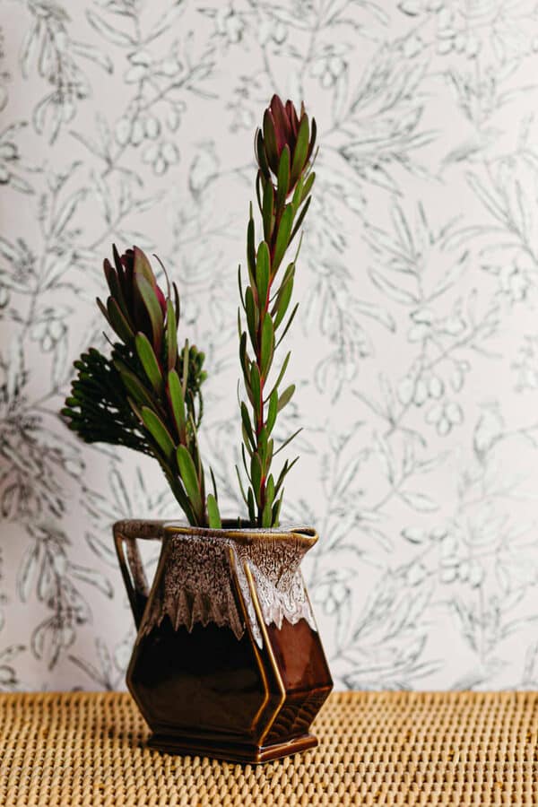 Papel pintado bicolor Aceituna gris A00501