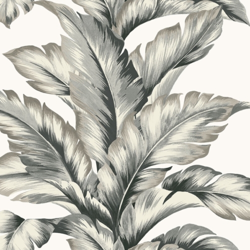 Papel pintado de hojas en color gris Banana Springs LN40600