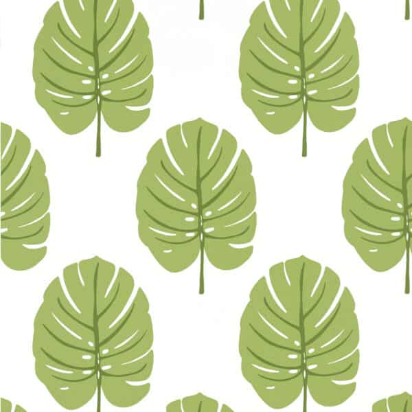 Papel pintado de hojas en color verde Monstera Apple Green T13955